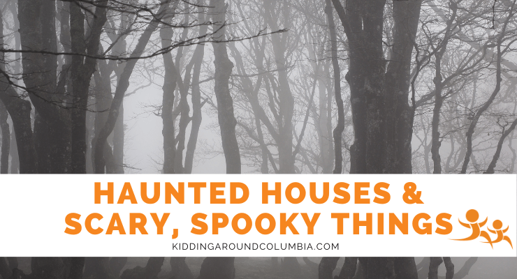 Haunted Houses and Scary Things in Columbia, SC