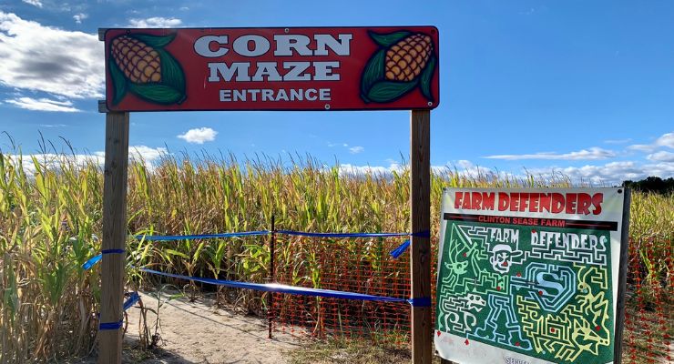Corn maze sign at Clinton Sease Farm in Lexington, SC