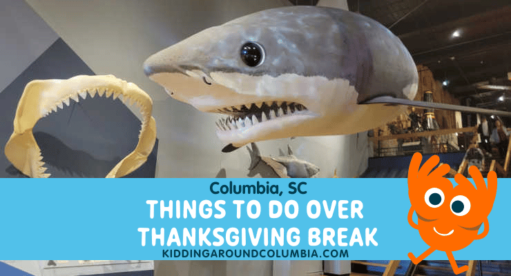 Thanksgiving Things to Do in Columbia, SC