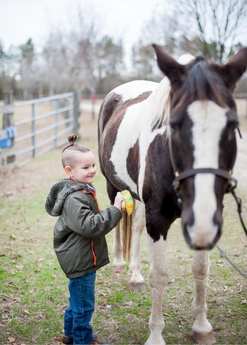Brushing the horse at Little Creek Farm
