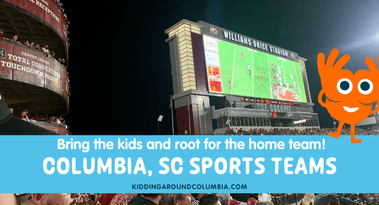 Root for the home team at these Columbia, SC sports teams.