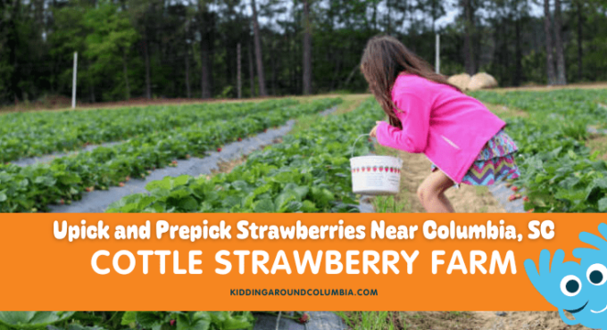 Strawberry PIcking Cottle Strawberry Farm