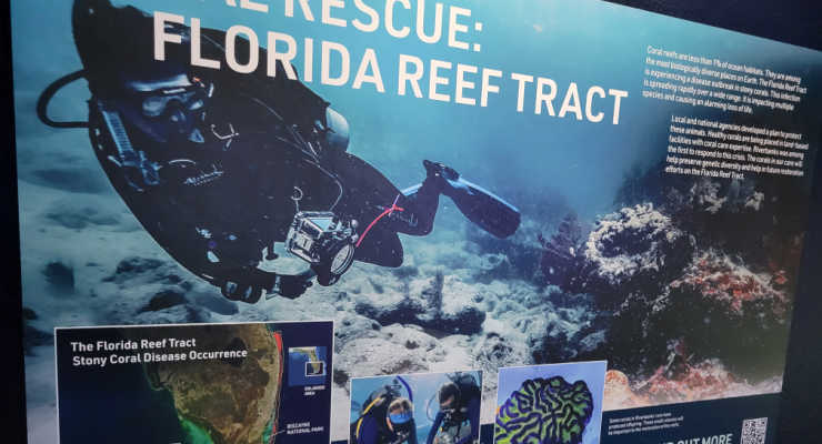 Conservation efforts sign about coral reefs