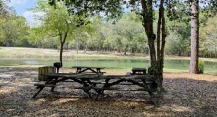 Picnic space at Aiken State Park