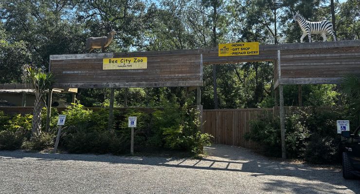 Bee City Zoo entrance