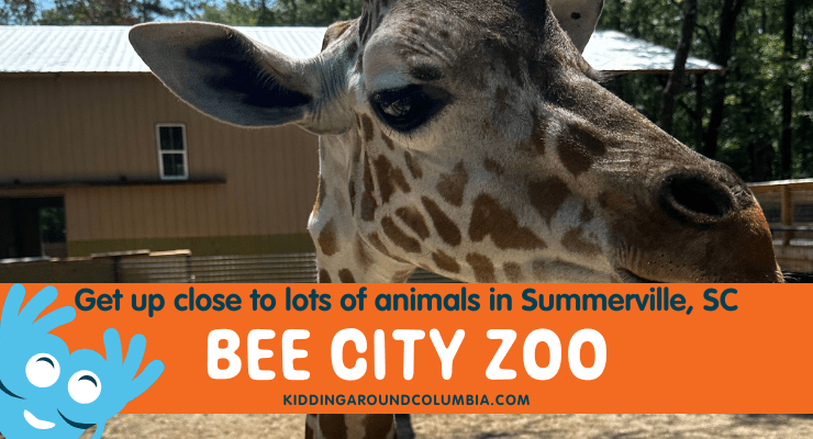 Bee City Zoo in Summerville, SC