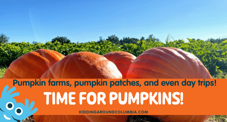 Pumpkin patches in Columbia, SC