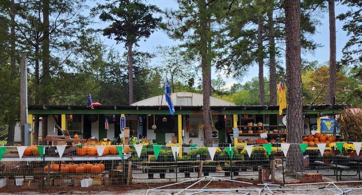 Hillbilly farm stand in Chapin, SC