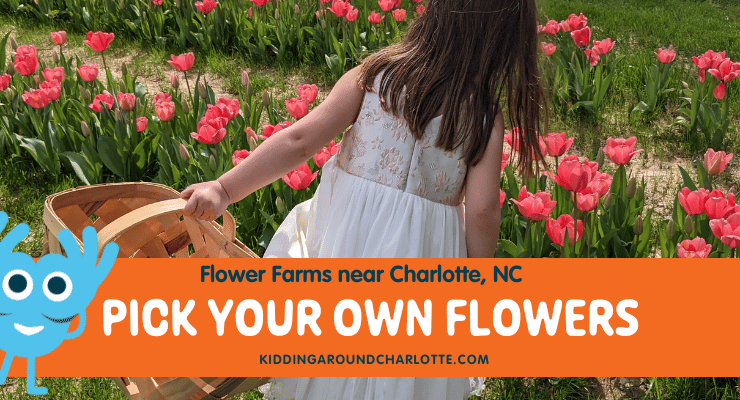 Pick your own flowers near Charlotte, NC