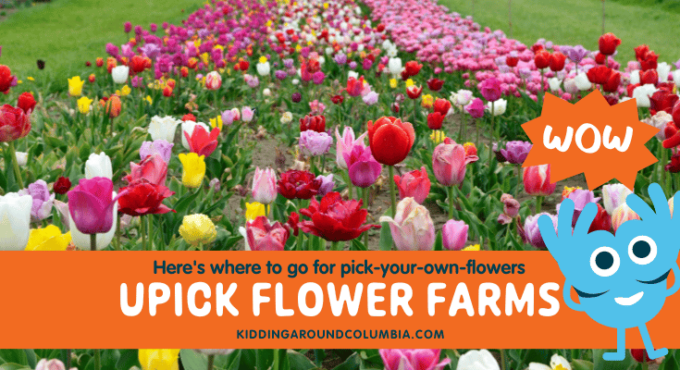 U pick flower farms in Columbia, SC