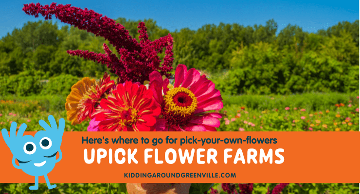U-Pick flower farms near Greenville, SC