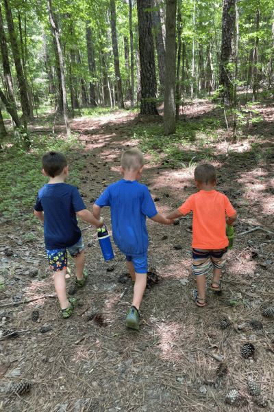 Hamilton Branch State Park