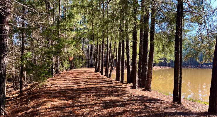 Nature Trail
