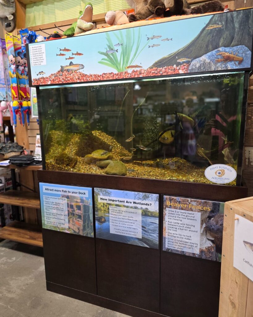 Wingard's Market aquarium