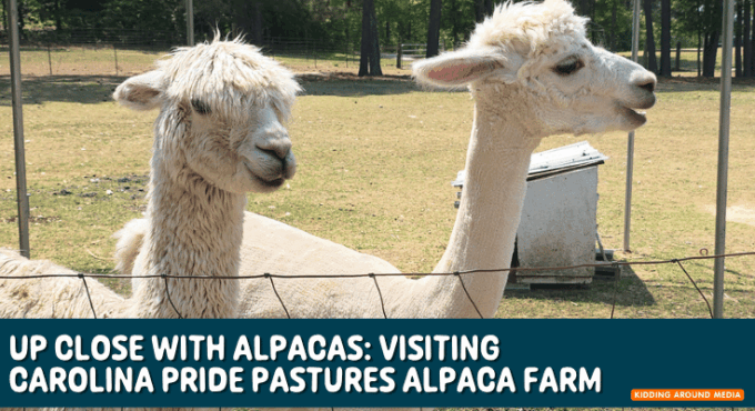 Carolina Pride Pastures Alpaca Farm