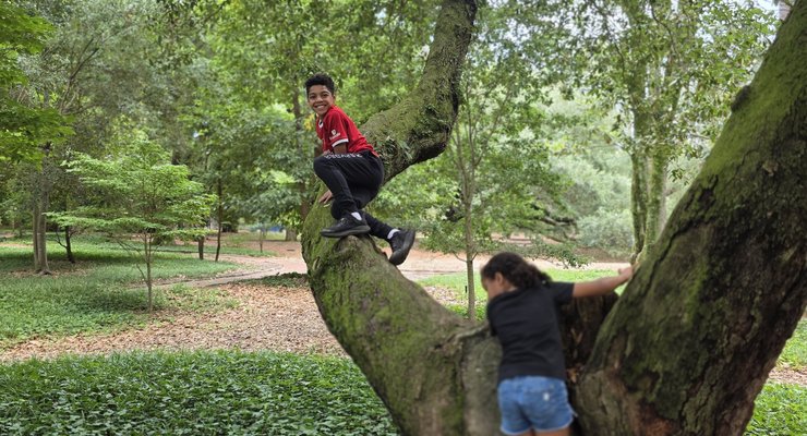 Children climbing a large tree at Hopelands Gardens in Aiken, SC