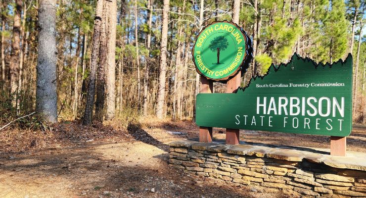 Harbison State Forest