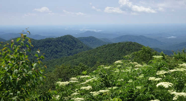 Landscape mountain views from Sassafras Mountain