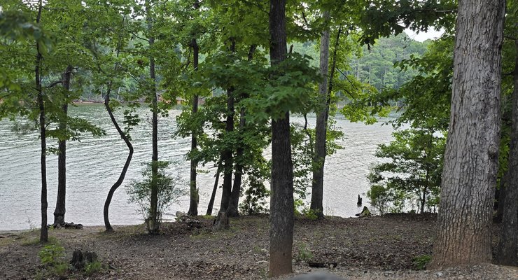 Lake Murray view through trees from a campsite with picnic table at Dreher Island State Park SC