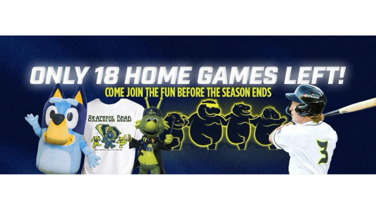 Home Games at the Columbia Fireflies