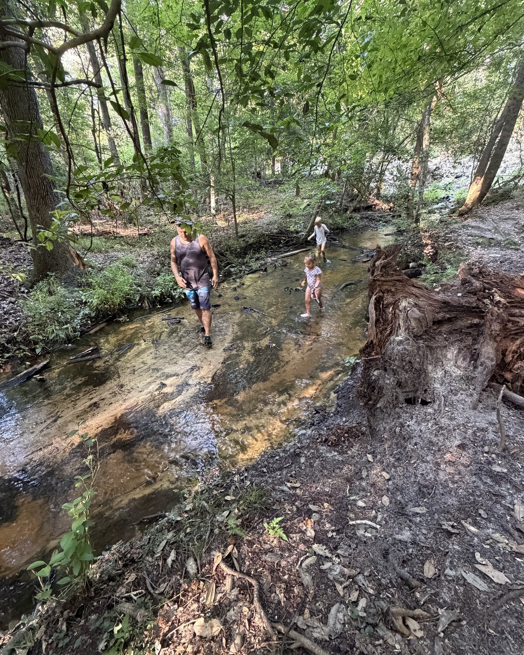 Kids playing in a creek and relaxing in hammocks hung between trees at Poinsett State Park